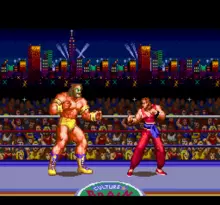 Image n° 7 - screenshots  : Ultimate Fighter